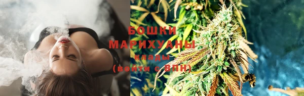 spice Магас